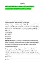 Nr 507 Exam Prep 2026 Questions With Verified &NewLine;Answers Detailed Rationales Graded A&plus;