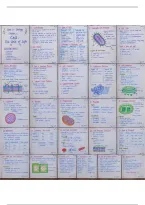 Complete Class 11 Biology notes for the chapter &OpenCurlyDoubleQuote;Cell&colon; The Unit of Life&rdquo;&comma; covering 30 pages of easy-to-revise handwritten-style notes&period;&NewLine;&NewLine;Topics include cell theory&comma; prokaryotic and eukaryotic cells&comma; plasma membrane&comma; cell wall&comma; cell organelles&comma; mitochondr