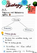 Endocrine system 