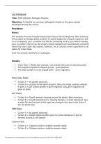 Lab 9 Notebook PL09 Unknown Pathogen Analysis &vert; Microbiology Lab Report & Study Guide