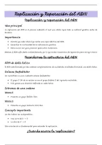 Replicaci&oacute;n y Reparacion de ADN &vert; Apuntes Biolog&iacute;a