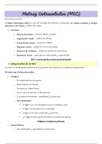 Matriz extracelular y membrana plasm&aacute;tica &vert; Apuntes de Biolog&iacute;a
