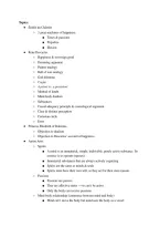 Document preview thumbnail