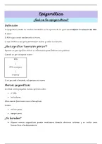 Epigen&eacute;tica &vert; Apuntes de Biolog&iacute;a celular y gen&eacute;tica