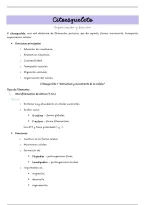 Citoesqueleto&colon; organizaci&oacute;n y funci&oacute;n &vert; Apuntes de Biolog&iacute;a