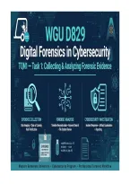 WGU D829 Digital Forensics in Cybersecurity &ndash; TQN1 Task 1&colon; Collecting and Analyzing Forensic Evidence &vert; Complete Performance Assessment Report&comma; Sections A&ndash;G&comma; Autopsy Screenshots & Forensic Evidence Analysis &vert; 2026&sol;2027 Updated &ndash; WGU