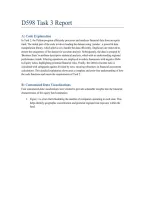 D598 Report Task 3 &mdash; Complete Performance Assessment&comma; Analysis and Report &vert; WGU