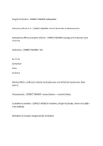 All The COMSAE Questions with Correct Answers 100&percnt; Verified Latest Update