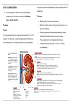 anatomy 