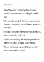 NURS 6202 Midterm Exam &ndash; Advanced Pathophysiology QUESTIONS AND CORRECT