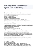 Med-Surg Chapter 30 Hematologic System &vert; Practice Questions & Exam Review 2026&sol;2027