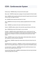 CCHI Cardiovascular System &vert; Healthcare Interpreter Exam Study Guide 2026&sol;2027