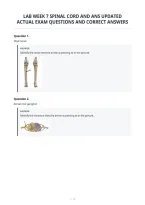 Lab Week 7 Spinal Cord And Ans Updated&NewLine;Actual Exam Questions And Correct Answers&NewLine;