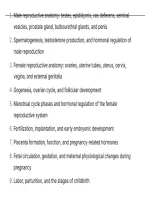 BIOD 152 Module 7 &ndash; Reproductive System Exam QUESTIONS AND CORRECT ANSWERS WITH