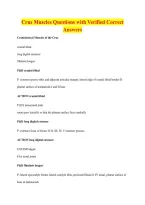 Crus Muscles Questions with Verified Correct &NewLine;Answers