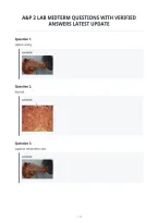 A&P 2 Lab Midterm Questions With Verified&NewLine;Answers Latest Update&NewLine;