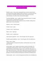 Galen NU 110 Test 1 Review Key Concepts Questions 2026 - Accurate and Verified