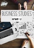 Grade 12_Business Studies [IEB] / DBE Summary 
