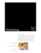 Practica & Essays voor Marketing (Bundel)