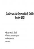 Cardiovascular System Study Guide Review 2023