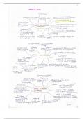 Summary Mind Maps For First block French A level