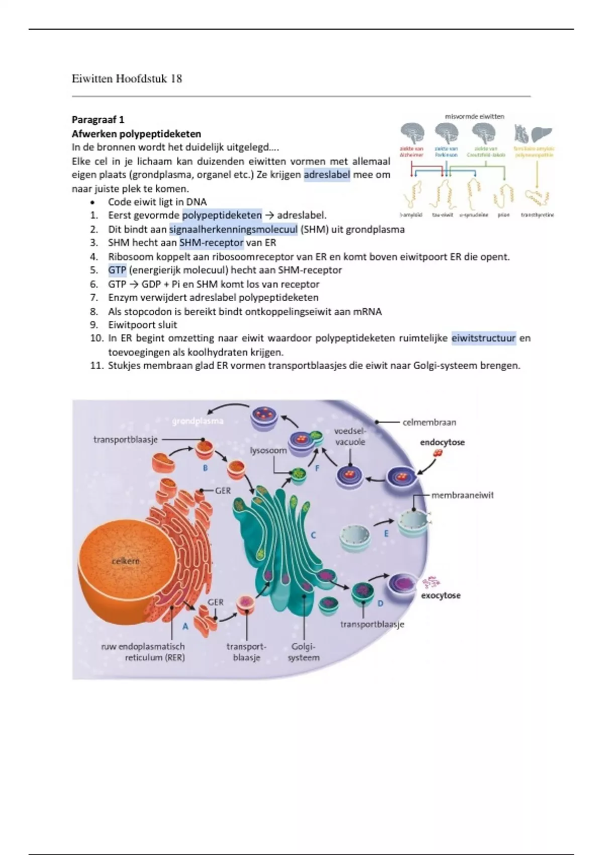 Samenvatting Nectar 6 VWO Biologie H18 Eiwitten Biologie Stuvia NL