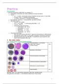 Complete samenvatting van MLT04 - Werken In Pathologisch Hemato-anatomielab (MLT04)