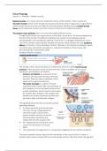 Summary Human Physiology (WBFA022-03)