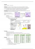 Summary - Pathology (WBFA024-05)