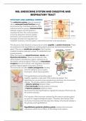 Samenvatting -  MG&colon; Endocrine System and Digestive and Respiratory &lpar;WBFA020-05&rpar;
