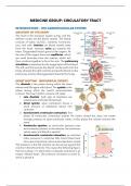 Samenvatting -  MG: Circulatory Tract (WBFA040-05)