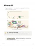 Ch 26 notes - eukaryotic transcription regulation