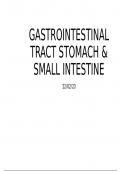 The stomach and small intestine