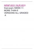 NRNP 6531/ NUR 6531 final exam /WEEK 11 MORE THAN 6 VERSIONS ALL GRADED  A 