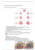 Latest Preview Thumbnail