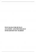 TEST BANK FOR HUMAN ANATOMY AND PHYSIOLOGY 10TH EDITION