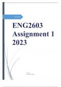 ENG2603 Assignment 1 2023