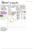 Lecture Notes on Cholesterol