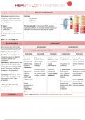 Hematology Diseases and Conditions Charts