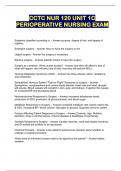 Document preview thumbnail