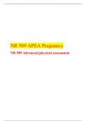 NR 509 APEA Pregnancy, NR 509 Advanced physical assessment, Chamberlain.