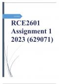 RCE2601 Assignment 1 2023 (629071)