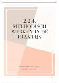 2.2.4. Methodisch werken in de praktijk