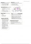 Immunobiology English learning leaflet