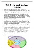 Cell Cycle and Nuclear Division