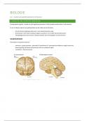 biologie : gedrag en hersenen 