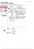 Red Blood Cells Lecture Notes
