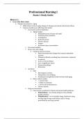  NURSING NUR2349 Professional Nursing I Exam 1 Study Guide MODULE 1: