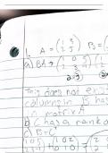 Differential Equations: Exam 1