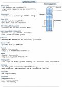 Wichtige Begriffe Chromosomen/Abbildung Kondensationsstufen
